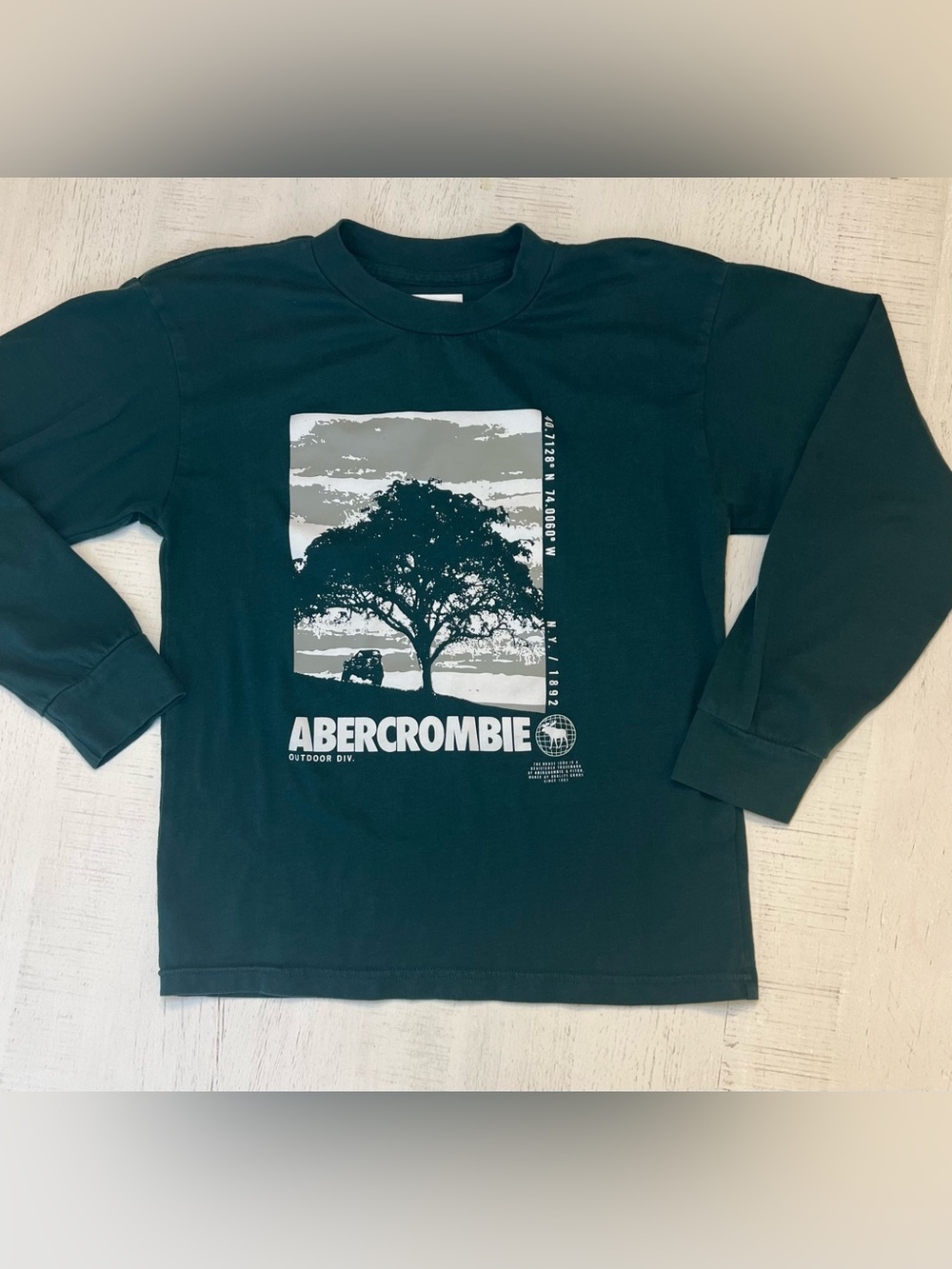 Abercrombie Kids Boys Long-Sleeve Graphic Tee Hunter Green